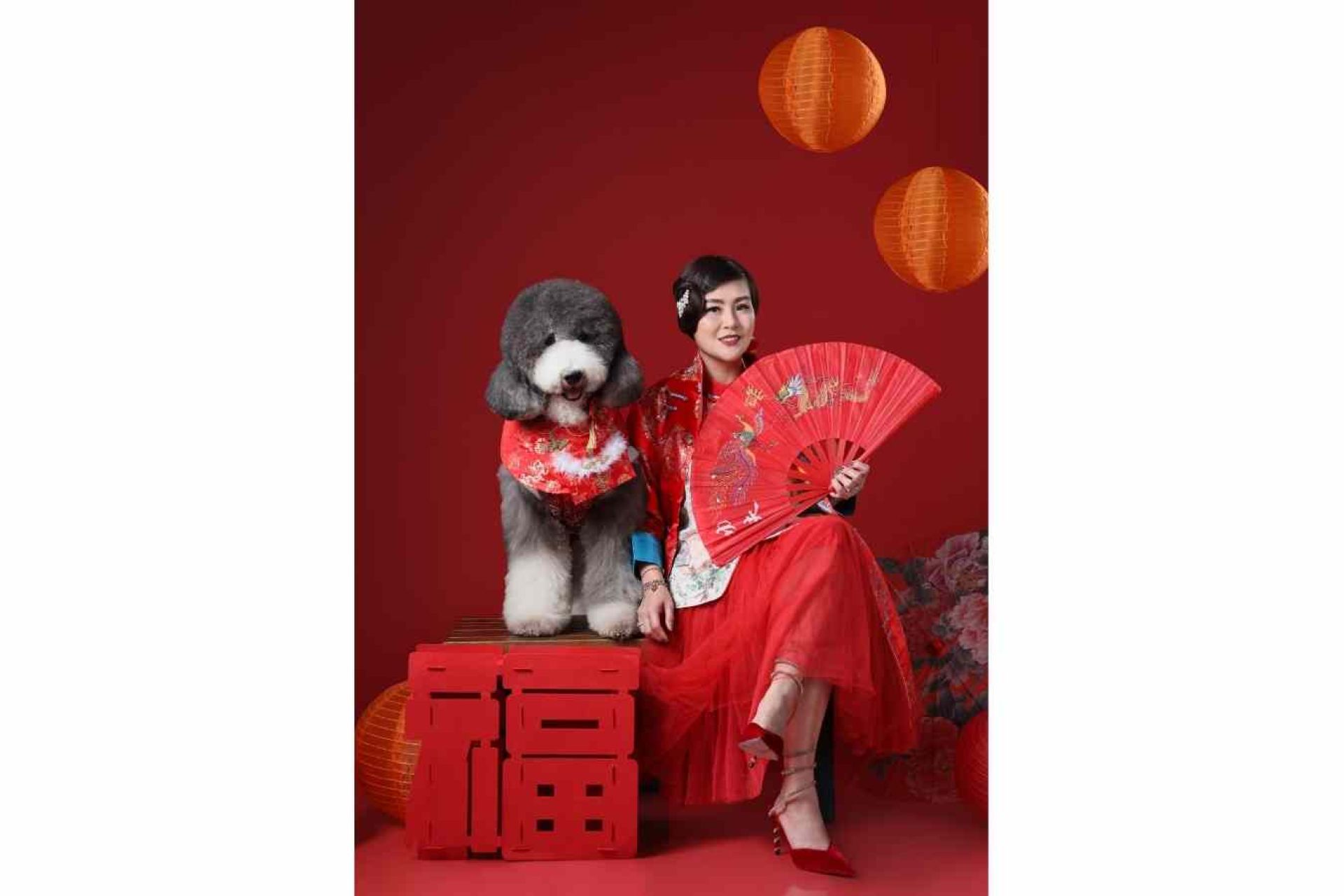 Pet-Friendly (Central Park Mall & Puri Indah Mall)